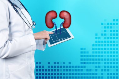 Doktorun modern tablet taşıdığı ve böbreklerin açık mavi arkaplan, metin için yer açtığı yakın plan görüntüsü