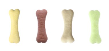 Beyaz arka planda farklı kemik şekilli köpek kurabiyeleri. Pankart tasarımı