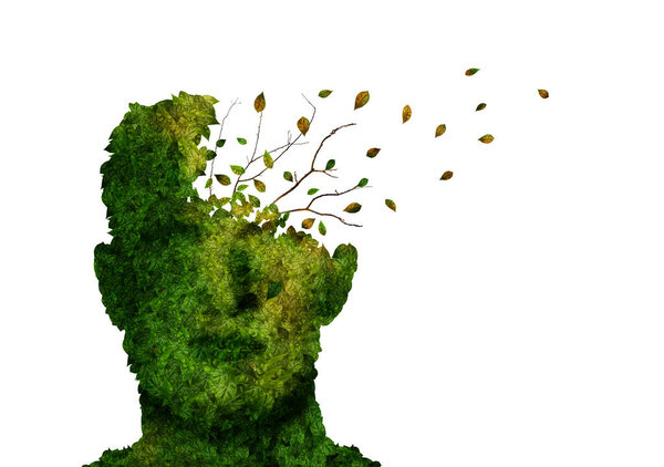Dementia Concept Illustration Green Head Shaped Plant Losing Leaves White — Foto de Stock