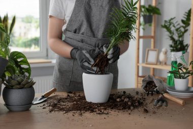 Bir kadın güzel çiçekleri evin içindeki masaya yerleştiriyor.