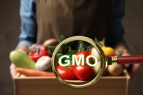 Перегляд Через Збільшувальне Скло Свіжих Овочах Концепція Gmo — стокове фото