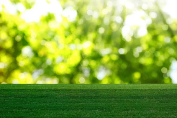 Mooi Gazon Met Groen Gras Zonnige Dag Bokeh Effect — Stockfoto