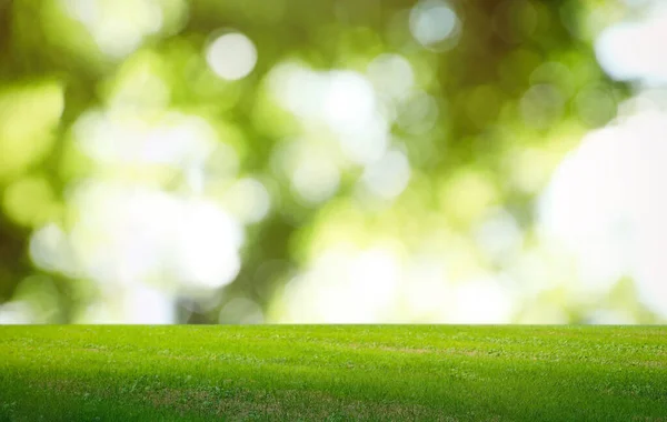 Mooi Gazon Met Groen Gras Zonnige Dag Bokeh Effect — Stockfoto