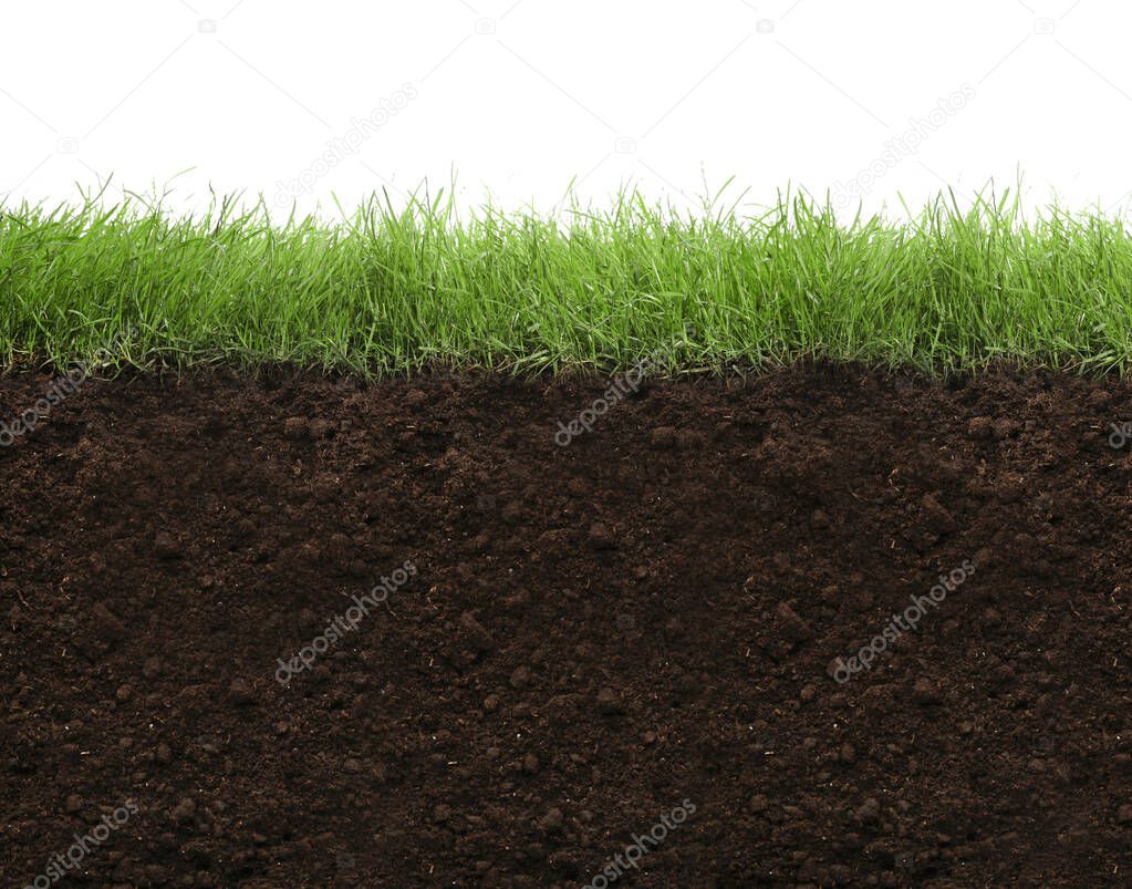 Soil with lush green grass on white background