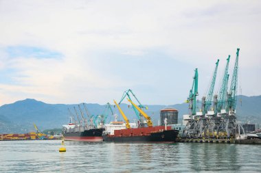 Su üzerinde vinçleri ve gemileri olan tersane.
