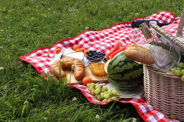 Pikniková Přikrývka Lahodným Jídlem Vínem Venku Letní Den — Stock fotografie