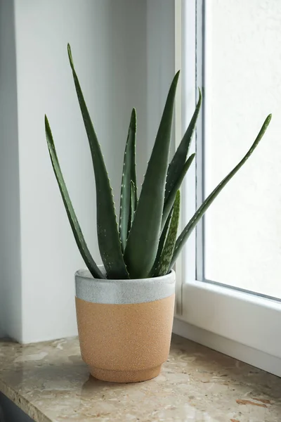 Aloe Vera Verte Pot Sur Rebord Fenêtre Marbre Intérieur Belle — Photo