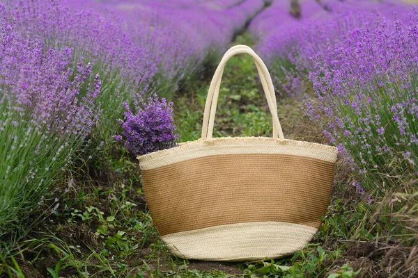 Wicker Bag Beautiful Lavender Flowers Field — ストック写真