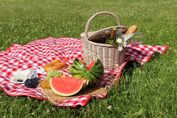Picnic Blanket Delicious Food Wine Outdoors Summer Day — Zdjęcie stockowe