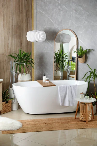 浴室里有现代的白色浴缸和漂亮的绿色室内植物 室内设计 — 图库照片