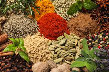 Arka plan olarak aromatik baharatlı farklı taze otlar, üst görünüm