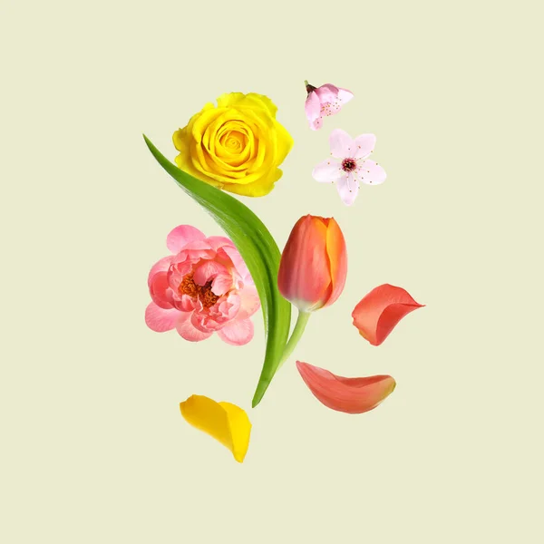 Різні Красиві Квіти Літають Світлому Фоні — стокове фото