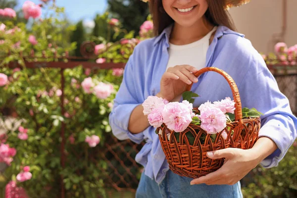 Счастливая Молодая Женщина Корзиной Розового Чая Розы Цветущем Саду Крупным — стоковое фото