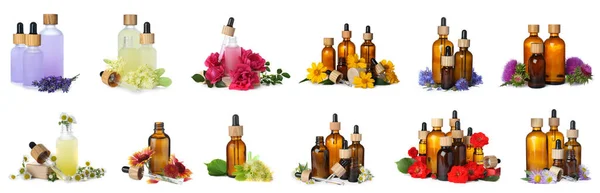 Set Different Natural Essential Oils Flowers White Background Banner Design — Stok fotoğraf