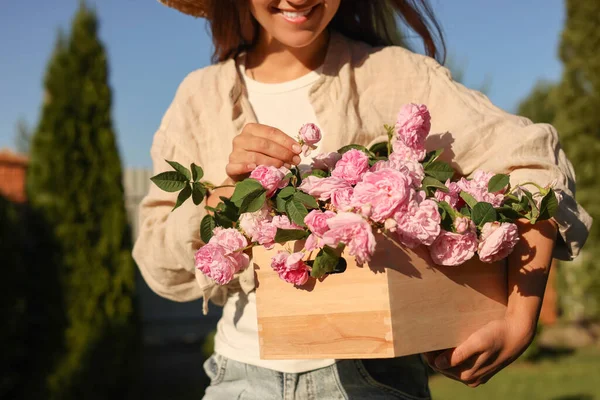 Woman Holding Crate Beautiful Tea Roses Garden Closeup — Foto de Stock