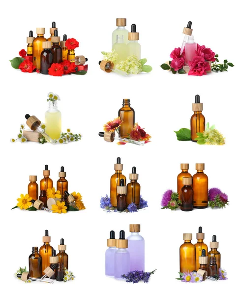Set Different Natural Essential Oils Flowers White Background — Fotografia de Stock