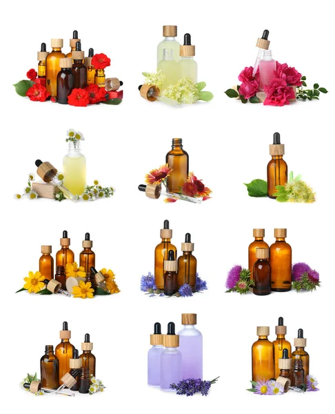 Set Different Natural Essential Oils Flowers White Background — Zdjęcie stockowe