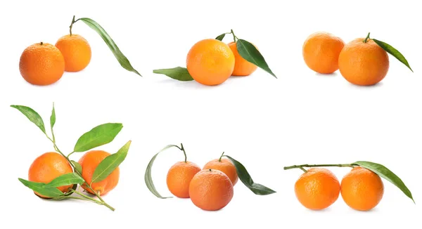 Conjunto Com Saborosas Tangerinas Maduras Fundo Branco — Fotografia de Stock