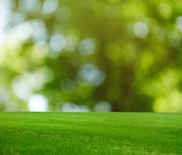 Mooi Gazon Met Groen Gras Zonnige Dag Bokeh Effect — Stockfoto