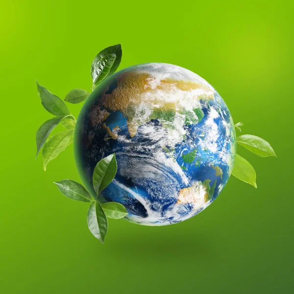 Recycling concept. Earth planet with green leaves on color background