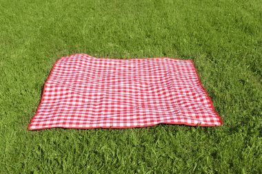 Dışarıdaki taze yeşil çimlerde damalı piknik masası örtüsü.