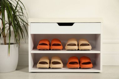 Farklı çift lastik terlikleri olan şık bir depolama dolabı ve koridordaki beyaz duvarın yanında güzel bir bitkisi.