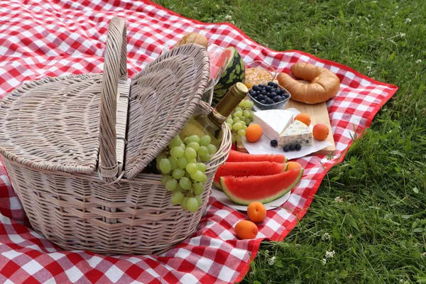 Picnic Blanket Delicious Food Wine Outdoors Summer Day — Foto Stock