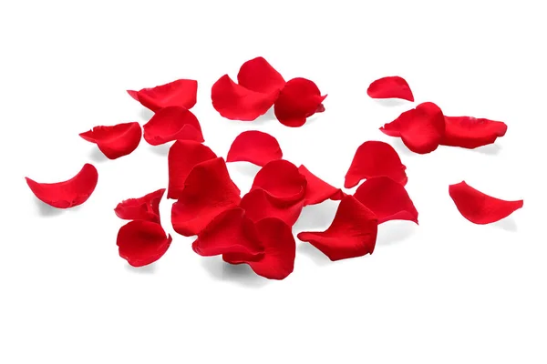 Many Red Rose Petals White Background — 图库照片