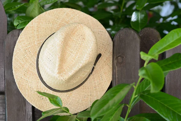 Elegante Sombrero Colgando Cerca Madera Accesorio Playa —  Fotos de Stock