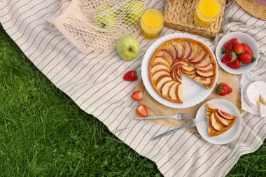 Yeşil çimlerin üzerinde farklı ürünler olan piknik battaniyesi, üst manzara. Metin için boşluk