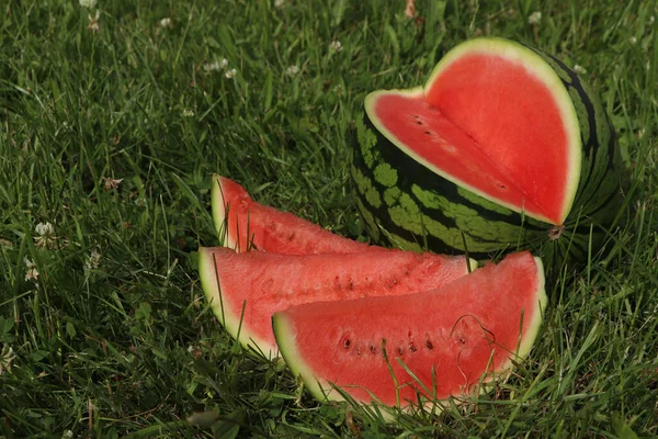 Delicious Cut Watermelon Fresh Green Grass Outdoors Space Text — Stok Foto