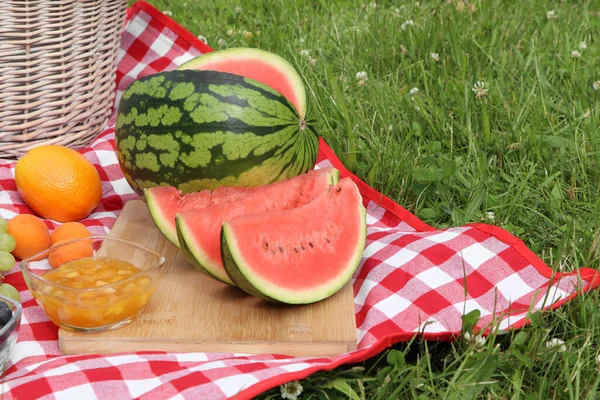 Одеяло Пикника Вкусной Едой Открытом Воздухе Летний День — стоковое фото