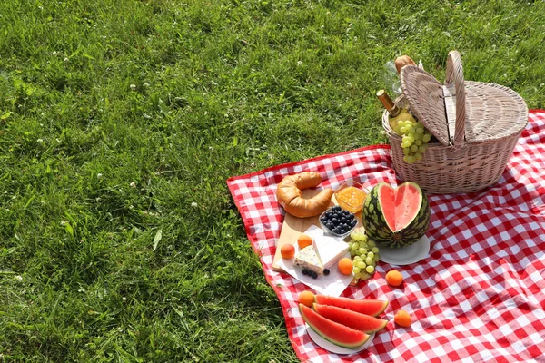 Manta Piquenique Com Deliciosa Comida Vinho Livre Dia Verão Espaço — Fotografia de Stock