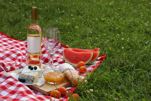 Picnic Blanket Delicious Food Wine Outdoors Summer Day Space Text — Fotografia de Stock