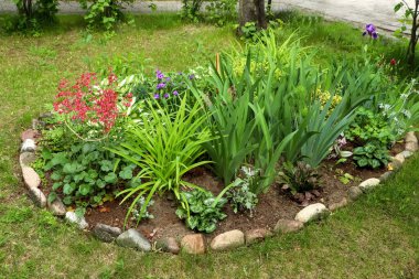 Beautiful flowerbed with different plants outdoors. Gardening and landscaping