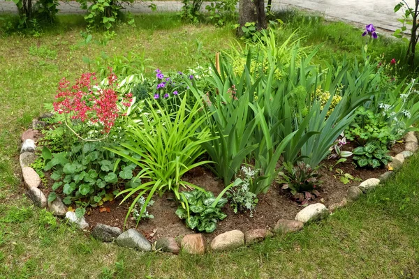 Beautiful Flowerbed Different Plants Outdoors Gardening Landscaping — 스톡 사진