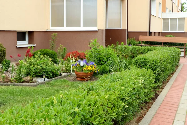 Many Different Beautiful Plants City Street Gardening Landscaping — Stockfoto