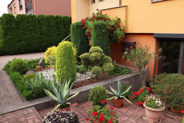 Beautiful Front Yard Different Plants Gardening Landscaping — Stockfoto