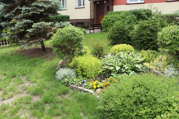 Beautiful Flowerbed Different Plants City Street Gardening Landscaping — Fotografia de Stock