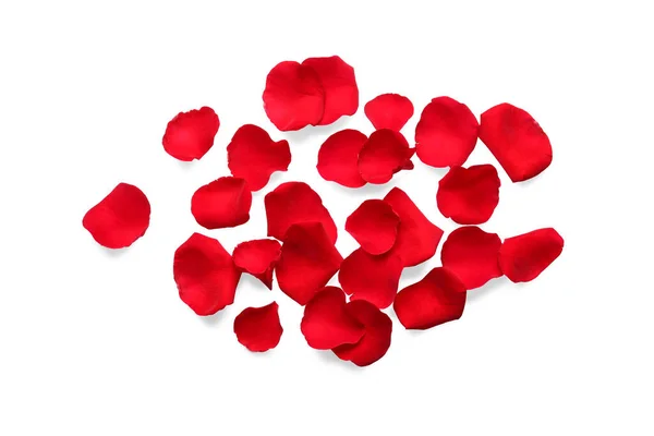 Many Red Rose Petals White Background Top View —  Fotos de Stock