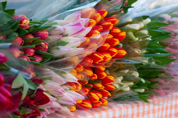 Асортимент Яскравих Квітів Тюльпанів Столі Крупним Планом — стокове фото