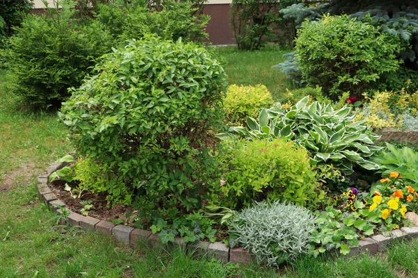 Beautiful Flowerbed Different Plants Outdoors Gardening Landscaping — Stock Fotó
