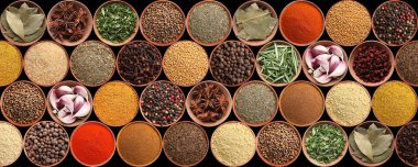 Farklı aromatik baharat ve otların siyah arka planda toplanması. Pankart tasarımı