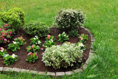 Beautiful flowerbed with different plants outdoors. Gardening and landscaping
