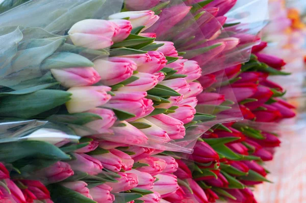 Assortment Bright Tulip Flowers Table Closeup — Fotografie, imagine de stoc