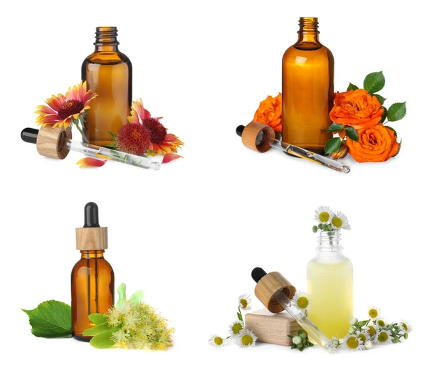 Set Different Natural Essential Oils Flowers White Background — Stok fotoğraf