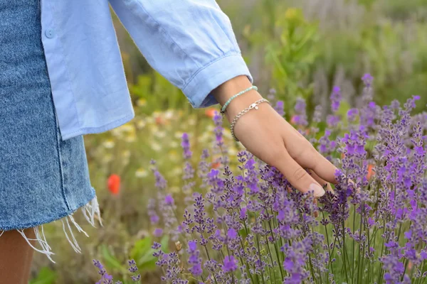 Woman Lavender Field Summer Day Closeup — Stok Foto