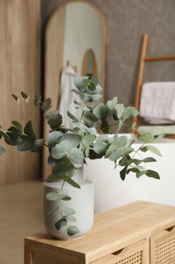 İçerideki ahşap dolapta okaliptüs dalları var. İç tasarım