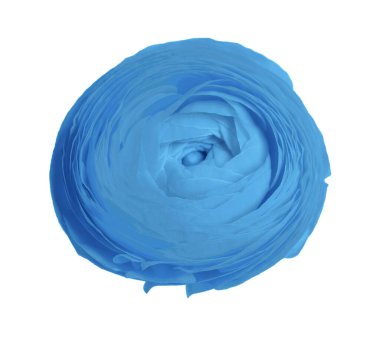 Beyaz arkaplanda açık mavi renginde güzel bir çiçek