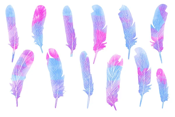 Many Beautiful Feather White Background Illustration —  Fotos de Stock